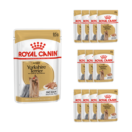 Royal Canin Adult Yorkshire Teri R X G Psi Konzervy Pro Psy