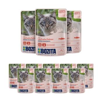 Bozita Feline v omáčce losos 85g x 12