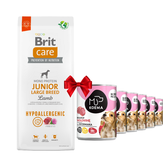 Brit care junior 2024 large breed lamb