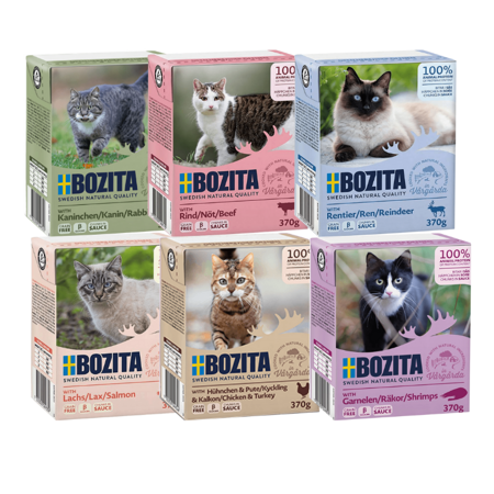 Bozita Feline v omáčce mix 6 příchutí 370g x 24