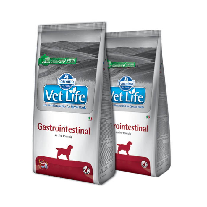 Farmina Vet Life Dog Gastrointestinal 2x12kg