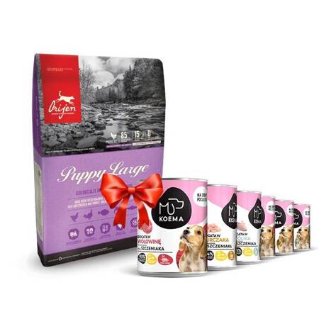 Orijen Puppy Large Breed 11,4kg + Koema Junior mokré krmivo 93 % masa - 6x400g