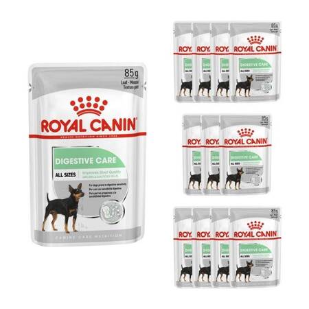 Royal Canin Digestive Care CCN v paštice 12x85g