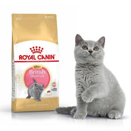 Royal Canin Kitten British Shorthair 400g