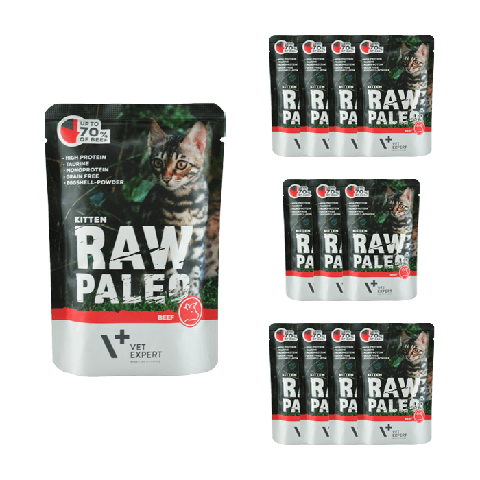 VetExpert Raw Paleo Kitten Beef 100g x 12