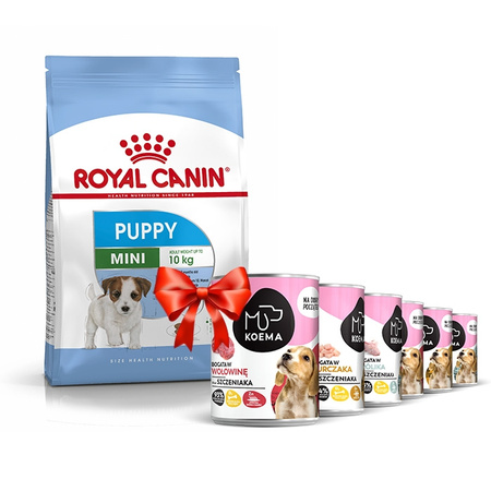 Royal Canin Mini Puppy 8kg + Koema Junior mokré krmivo 93 % masa - 6x400g