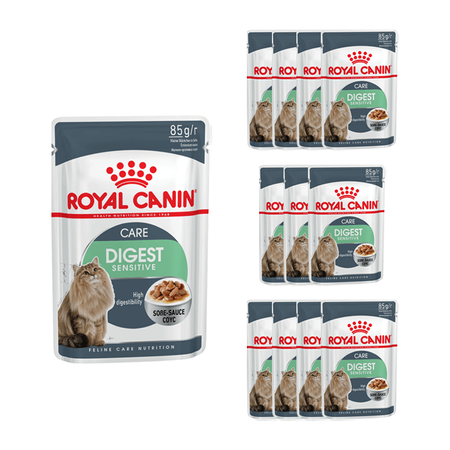 Royal Canin Digest Sensitive Feline omáčka 12x85g